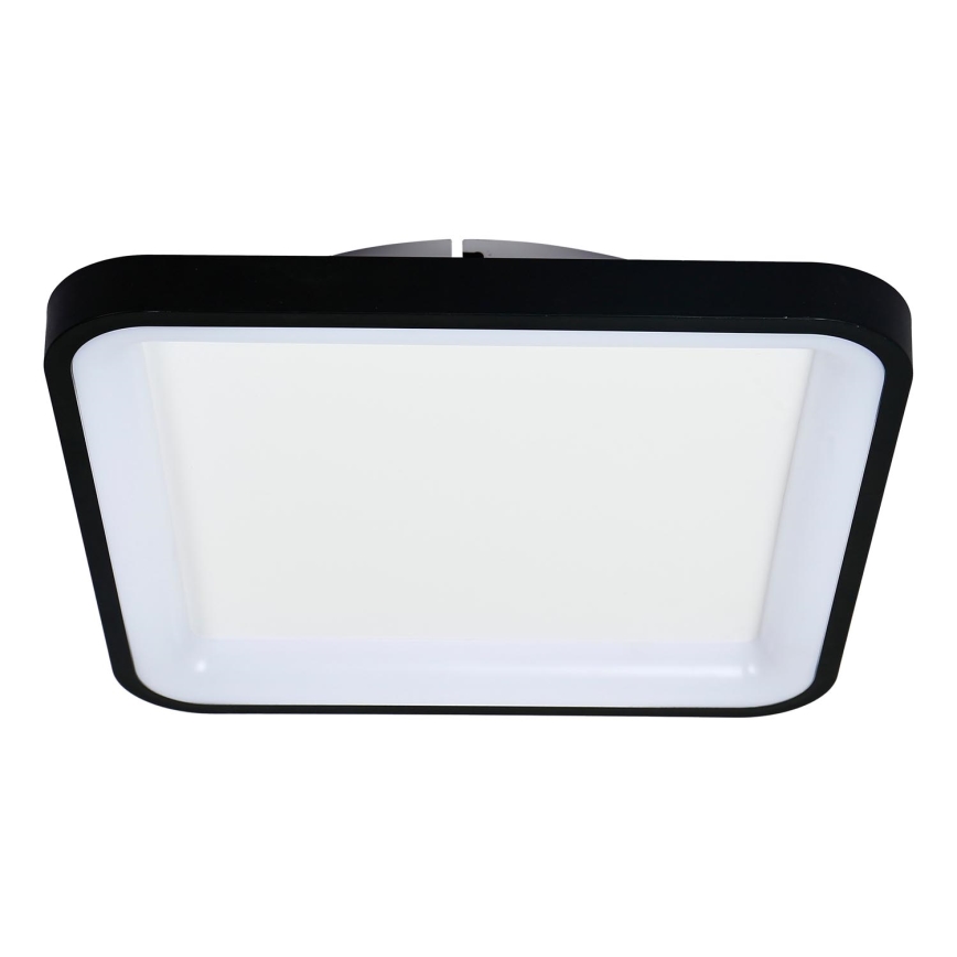 Brilagi - LED prigušivo stropno svjetlo FALCON SLIM LED/50W/230V 3000-6500K 50x50 cm crno + daljinski upravljač