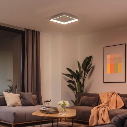 BRILAGI - LED stropno svjetlo s mogućnošću prigušivanja FALCON SLIM LED/50W/230V 3000-6500K 50x50 cm bež + daljinski upravljač
