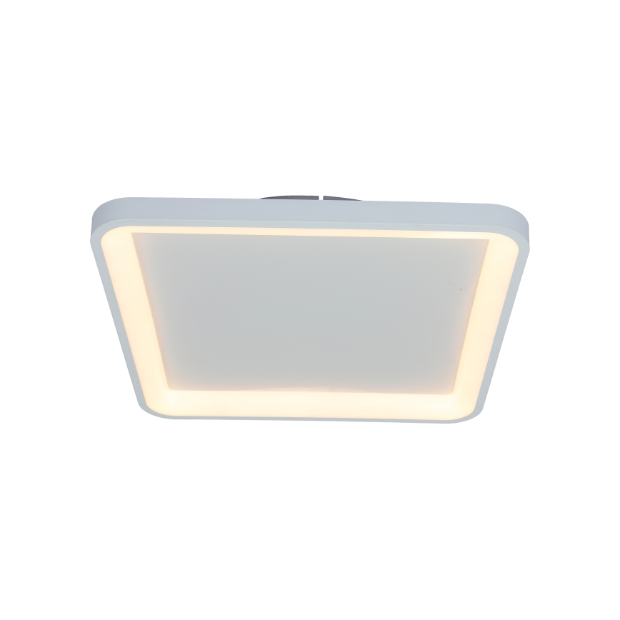 Brilagi - LED Stropna svjetiljka FALCON SLIM s prigušivanjem LED/50W/230V 3000-6500K 50x50 cm bijela + daljinski upravljač
