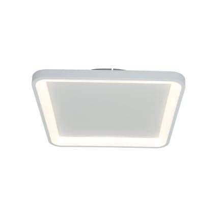 Brilagi - LED Stropna svjetiljka FALCON SLIM s prigušivanjem LED/50W/230V 3000-6500K 50x50 cm bijela + daljinski upravljač