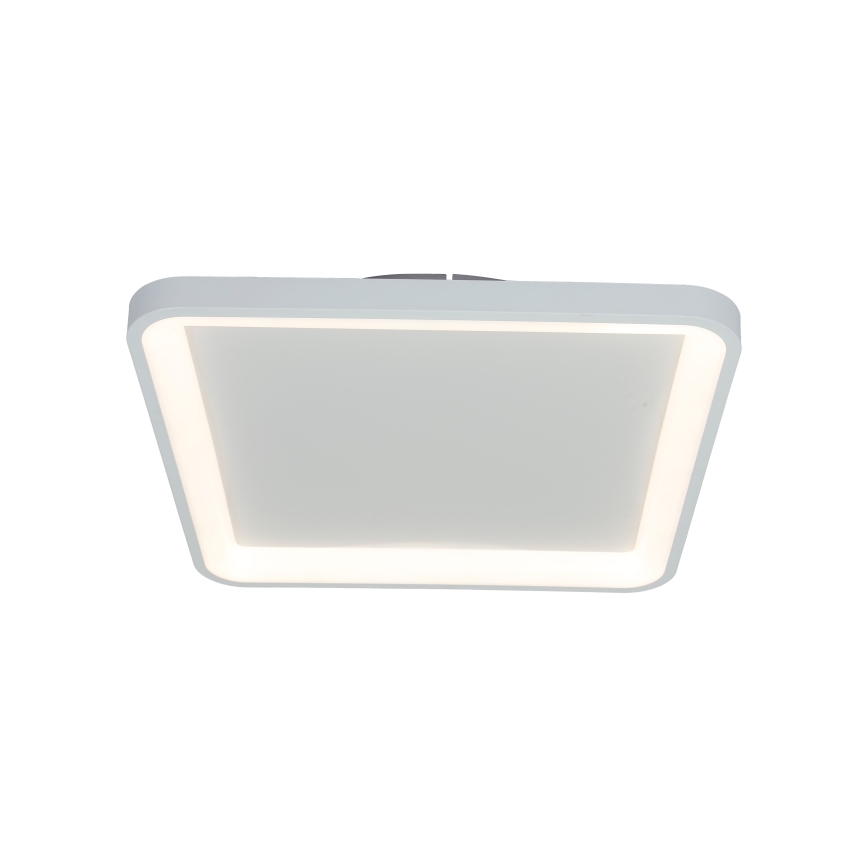 Brilagi - LED Stropna svjetiljka FALCON SLIM s prigušivanjem LED/50W/230V 3000-6500K 50x50 cm bijela + daljinski upravljač