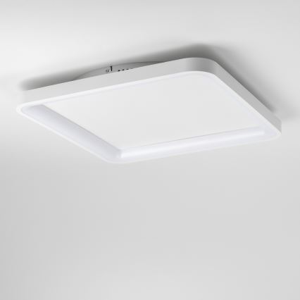 Brilagi - LED Stropna svjetiljka FALCON SLIM s prigušivanjem LED/50W/230V 3000-6500K 50x50 cm bijela + daljinski upravljač