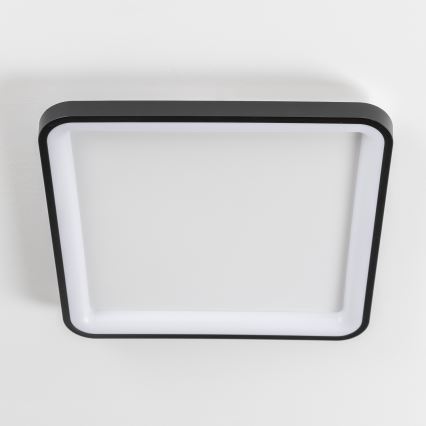 Brilagi - LED prigušivo stropno svjetlo FALCON SLIM LED/50W/230V 3000-6500K 50x50 cm crno + daljinski upravljač