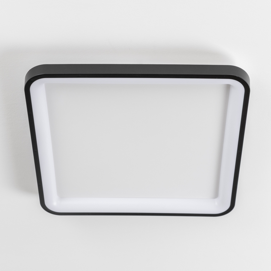 Brilagi - LED prigušivo stropno svjetlo FALCON SLIM LED/50W/230V 3000-6500K 50x50 cm crno + daljinski upravljač