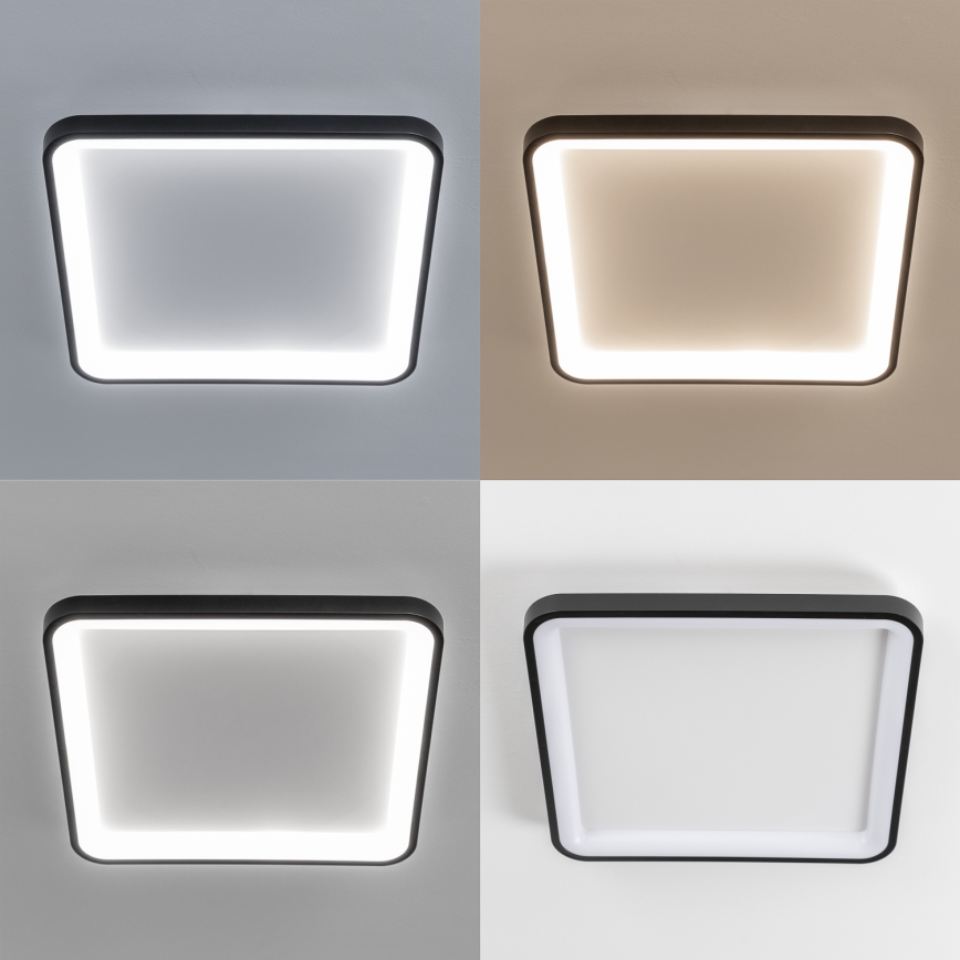 Brilagi - LED prigušivo stropno svjetlo FALCON SLIM LED/50W/230V 3000-6500K 50x50 cm crno + daljinski upravljač