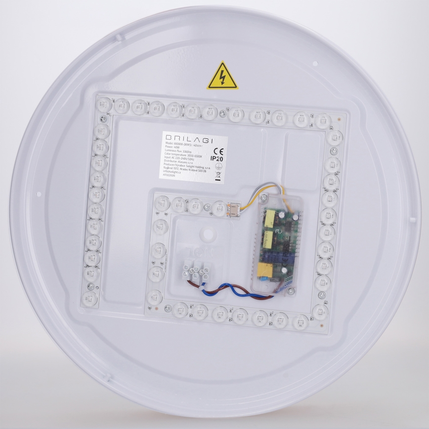 Brilagi - Prigušivo LED stropno svjetlo FLOCO LED 48 W / 230 V, promjer 40 cm, drveni dekor/bijelo + daljinski upravljač