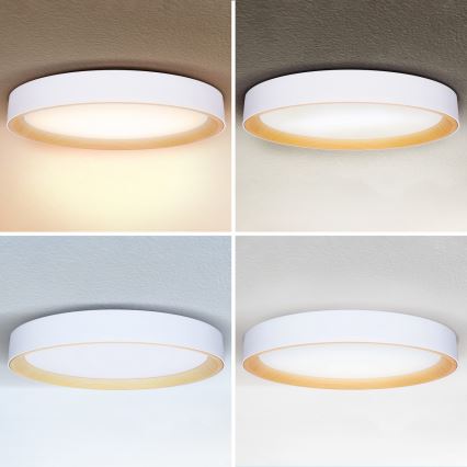Brilagi - LED stropna svjetiljka s prigušivanjem LARIOS LED/72W/230V 3000-6500K bijela Ø 59 cm + daljinsko upravljanje