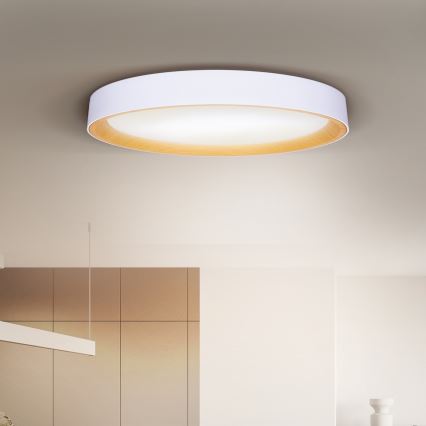 Brilagi - LED stropna svjetiljka s prigušivanjem LARIOS LED/72W/230V 3000-6500K bijela Ø 59 cm + daljinsko upravljanje