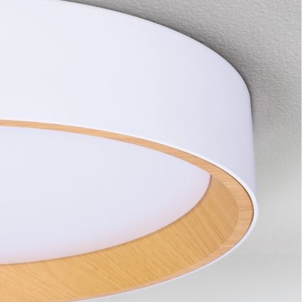 Brilagi - LED stropna svjetiljka s prigušivanjem LARIOS LED/72W/230V 3000-6500K bijela Ø 59 cm + daljinsko upravljanje