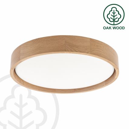 Brilagi - LED stropna svjetiljka s prigušivanjem MANAROLA REMOTE LED/24W/230V 3000-6500K promjer 41 cm hrast + daljinski upravljač