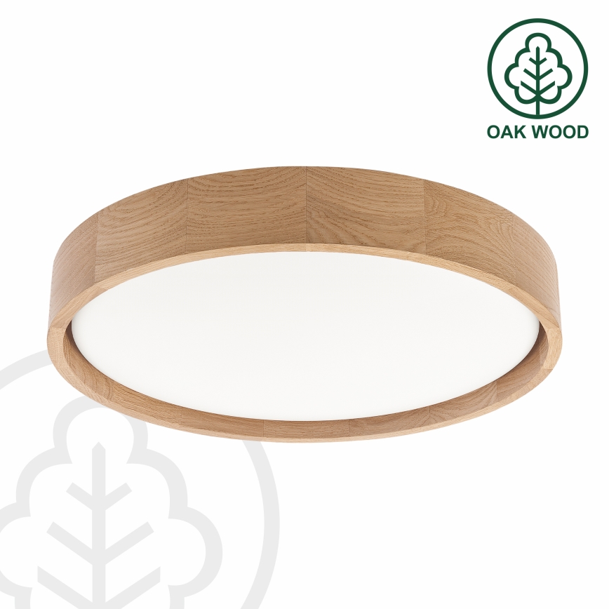 Brilagi - LED stropna svjetiljka s prigušivanjem MANAROLA REMOTE LED/24W/230V 3000-6500K promjer 41 cm hrast + daljinski upravljač