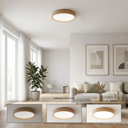 Brilagi - LED stropna svjetiljka s prigušivanjem MANAROLA REMOTE LED/24W/230V 3000-6500K promjer 41 cm hrast + daljinski upravljač