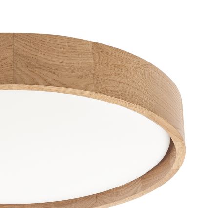 Brilagi - LED stropna svjetiljka s prigušivanjem MANAROLA REMOTE LED/24W/230V 3000-6500K promjer 41 cm hrast + daljinski upravljač