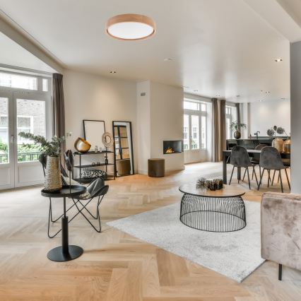 Brilagi - LED prigušivo stropno svjetlo MANAROLA LED/24W/230V prom. 42 cm 3000-6500K hrast + daljinski upravljač