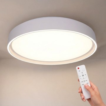 Brilagi - LED prigušivo stropno svjetlo NANCI LED/60W/230V 3000-6500K Ø 49 cm bijela + daljinski upravljač