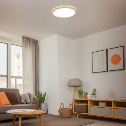 Brilagi - stropna LED svjetiljka s prigušivanjem PINE LED/60W/230V drvo Ø 52 cm 3000-6500K + daljinski upravljač