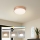 Brilagi - LED prigušivo stropno svjetlo POOL LED/24W/230V 3000-6000K promjer 20 cm u brončanoj boji + daljinski upravljač