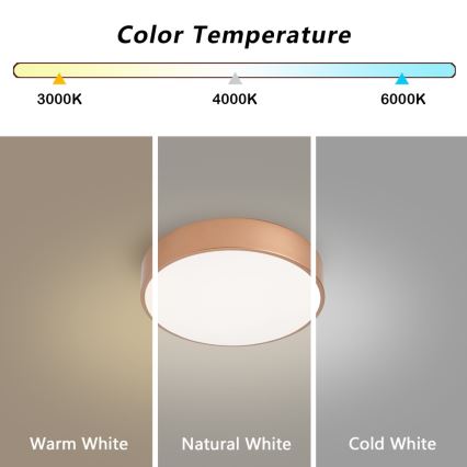 Brilagi - LED prigušivo stropno svjetlo POOL LED/24W/230V 3000-6000K promjer 20 cm u brončanoj boji + daljinski upravljač