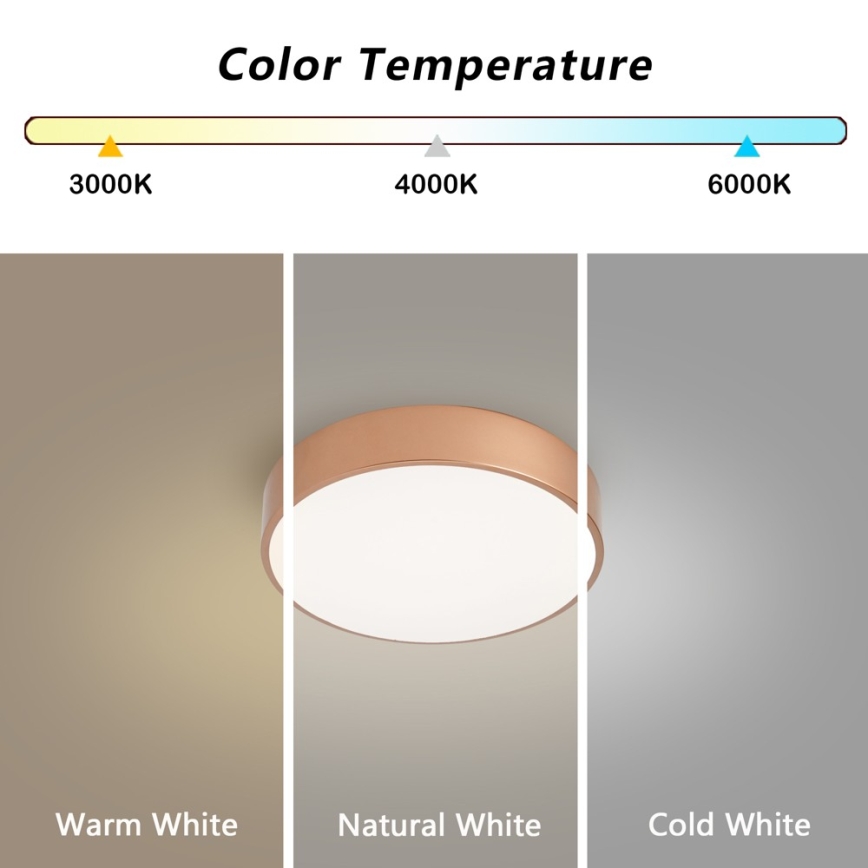 Brilagi - LED prigušivo stropno svjetlo POOL LED/24W/230V 3000-6000K promjer 20 cm u brončanoj boji + daljinski upravljač