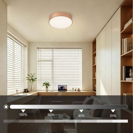 Brilagi - LED prigušivo stropno svjetlo POOL LED/24W/230V 3000-6000K promjer 20 cm u brončanoj boji + daljinski upravljač