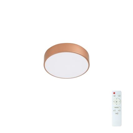 Brilagi - LED prigušivo stropno svjetlo POOL LED/24W/230V 3000-6000K promjer 20 cm u brončanoj boji + daljinski upravljač