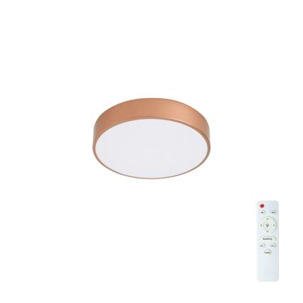 Brilagi - POOL LED stropna svjetiljka s mogućnošću prigušivanja, 36W/230V, 3000–6000K, promjer 30 cm, brončana, s daljinskim upravljačem