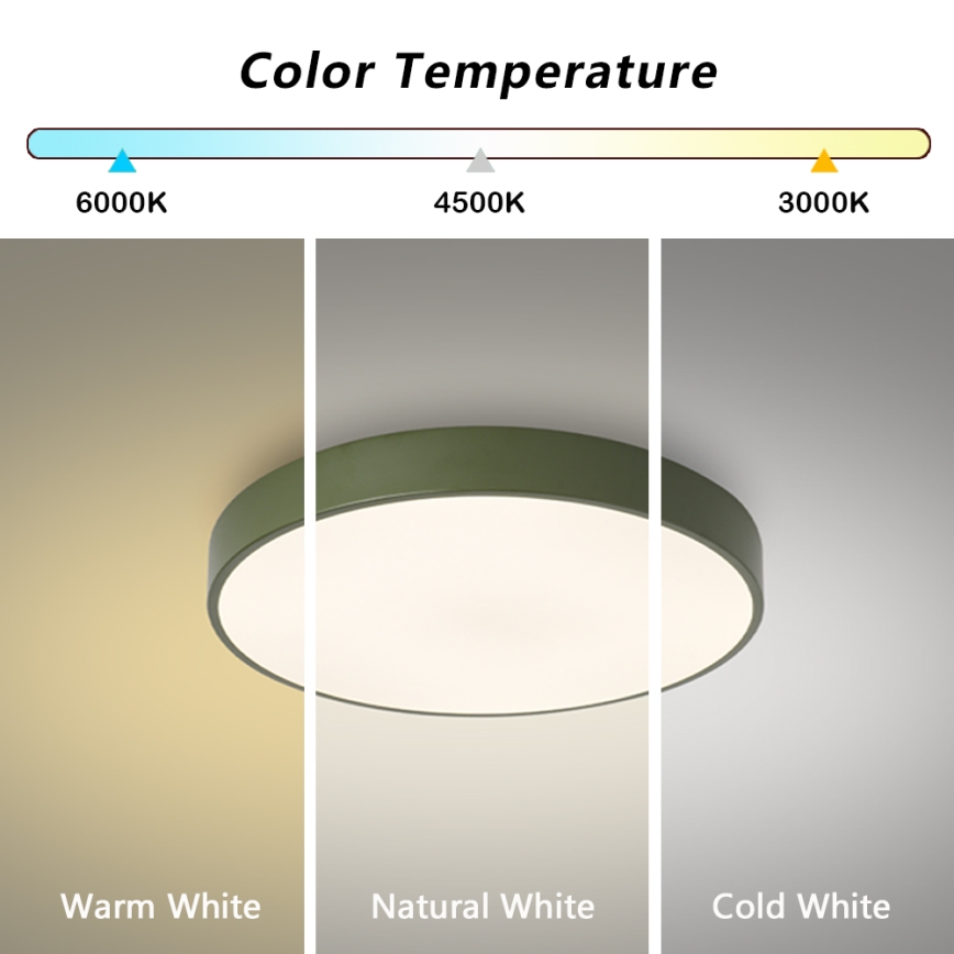 Brilagi - LED stropna svjetiljka s mogućnošću prigušivanja POOL LED/60W/230V 3000-6000K Ø 50 cm zelena + daljinski upravljač