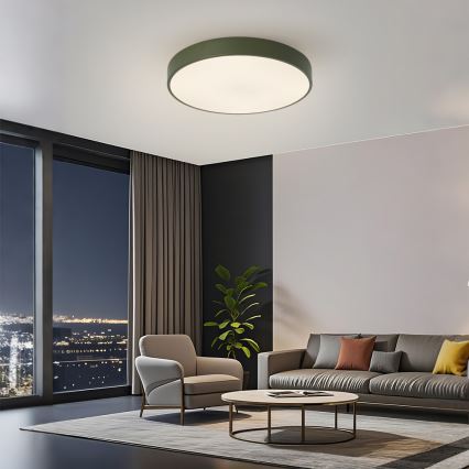 Brilagi - LED stropna svjetiljka s mogućnošću prigušivanja POOL LED/60W/230V 3000-6000K Ø 50 cm zelena + daljinski upravljač