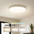 Brilagi - LED prigušivo stropno svjetlo POOL LED/60W/230V 3000-6000K, promjer 50 cm, u bež boji, s daljinskim upravljačem