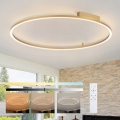 Brilagi - LED prigušivo stropno svjetlo PORTOFINO LED/85W/230V 3000-6000K Ø 120 cm zlatno + daljinski upravljač