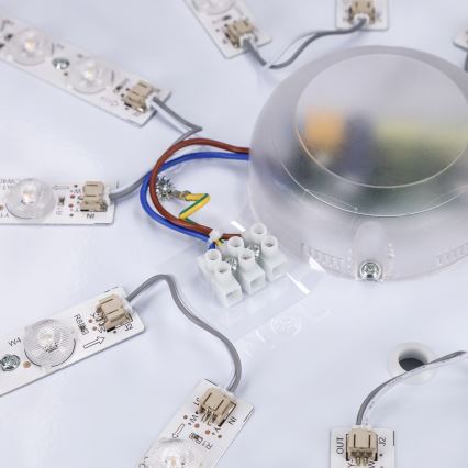 Brilagi - LED stropna svjetiljka s prigušivanjem PILANA LED/72W/230V 3000-6500K hrast/crna Ø 80 cm + daljinski upravljač