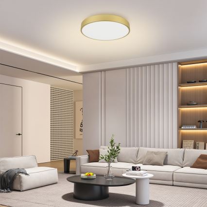 Brilagi - LED stropno svjetlo s mogućnošću prigušivanja POOL LED/60W/230V 3000-6000K promjer 60 cm zlatno + daljinski upravljač