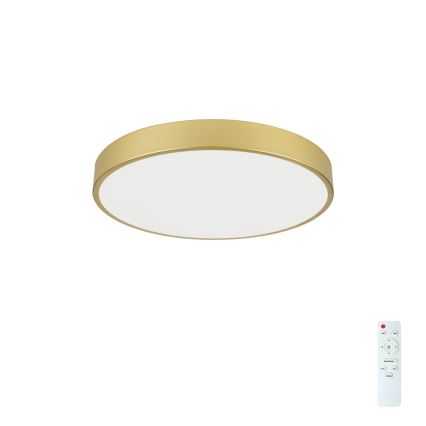 Brilagi - LED stropno svjetlo s mogućnošću prigušivanja POOL LED/60W/230V 3000-6000K promjer 60 cm zlatno + daljinski upravljač