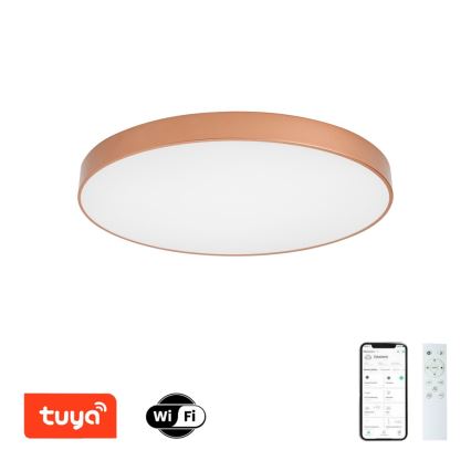Brilagi - LED prigušiva stropna svjetiljka POOL SMART LED/100W/230V 3000-6000K Ø 80 cm Wi-Fi Tuya brončana + daljinski upravljač