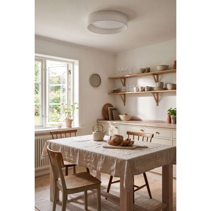 Brilagi - LED stropna svjetiljka s prigušivanjem VELVET SMART VARI LED/36W/230V 3000-6500K Ø 55 cm bijela + s daljinskim upravljačem