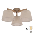 BRILAGI - LED prislonjen luster LATTE SABIA 3xE27/15W/230V borovina/bež