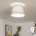 Brilagi - LED prislonjena stropna svjetiljka CERIA 1xE27/40W/230V Ø 30 cm siva