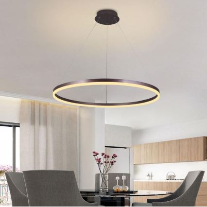 Brilagi - LED prigušivač luster na užetu CIRCLE LED/55W/230V 3000-6500K smeđa + daljinski upravljač