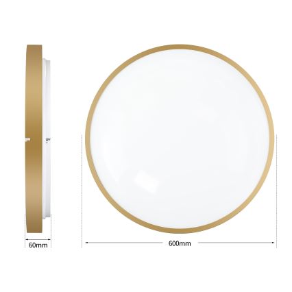 Brilagi - Stropna LED svjetiljka s mogućnošću prigušivanja GLASS POOL DOUBLE LED/80W/230V 3000-6000K 60 cm zlatna + daljinski upravljač