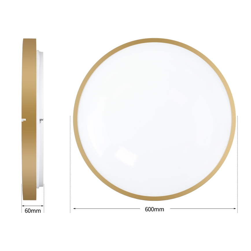 Brilagi - Stropna LED svjetiljka s mogućnošću prigušivanja GLASS POOL DOUBLE LED/80W/230V 3000-6000K 60 cm zlatna + daljinski upravljač