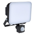BRILAGI - LED Reflektor s senzorom ELARA PRO LED/30W/230V IP65