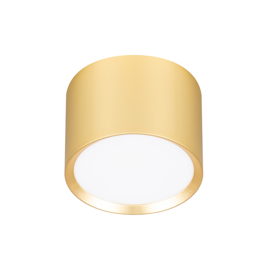 BRILAGI - LED RGB+CCT s mogućnošću prigušivanja ugradno spot svjetlo SMOOTH 1xGX53/14W/230V 60x82 mm 2700-6500K Wi-Fi Tuya zlatno