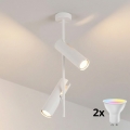 Brilagi - LED RGBW luster na šipci BRANCH s mogućnošću prigušivanja 2xGU10/6,5W/230V 2700-6500K bijela