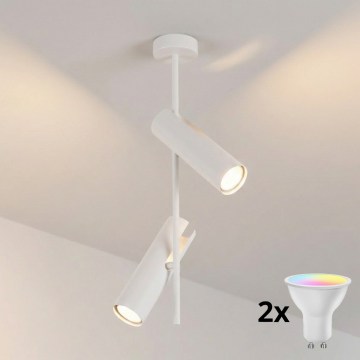 Brilagi - LED RGBW luster na šipci BRANCH s mogućnošću prigušivanja 2xGU10/6,5W/230V 2700-6500K bijela