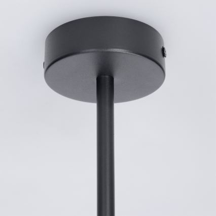 Brilagi - LED RGBW luster s mogućnošću prigušivanja na stalku BRANCH 3xGU10/6,5W/230V 2700-6500K crna