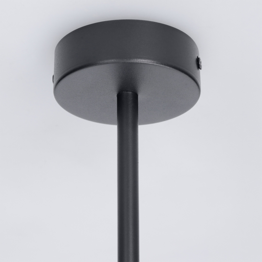 Brilagi - LED RGBW luster s mogućnošću prigušivanja na stalku BRANCH 3xGU10/6,5W/230V 2700-6500K crna