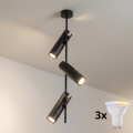 Brilagi - LED RGBW luster s mogućnošću prigušivanja na stalku BRANCH 3xGU10/6,5W/230V 2700-6500K crna