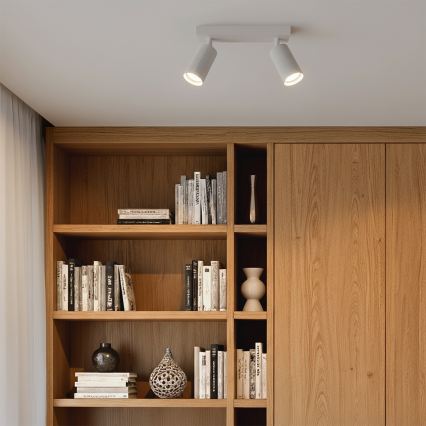 Brilagi - LED RGBW spot s mogućnošću prigušivanja SELE MODERN 2xGU10/4,8W/230V 3000K bijela + daljinski upravljač