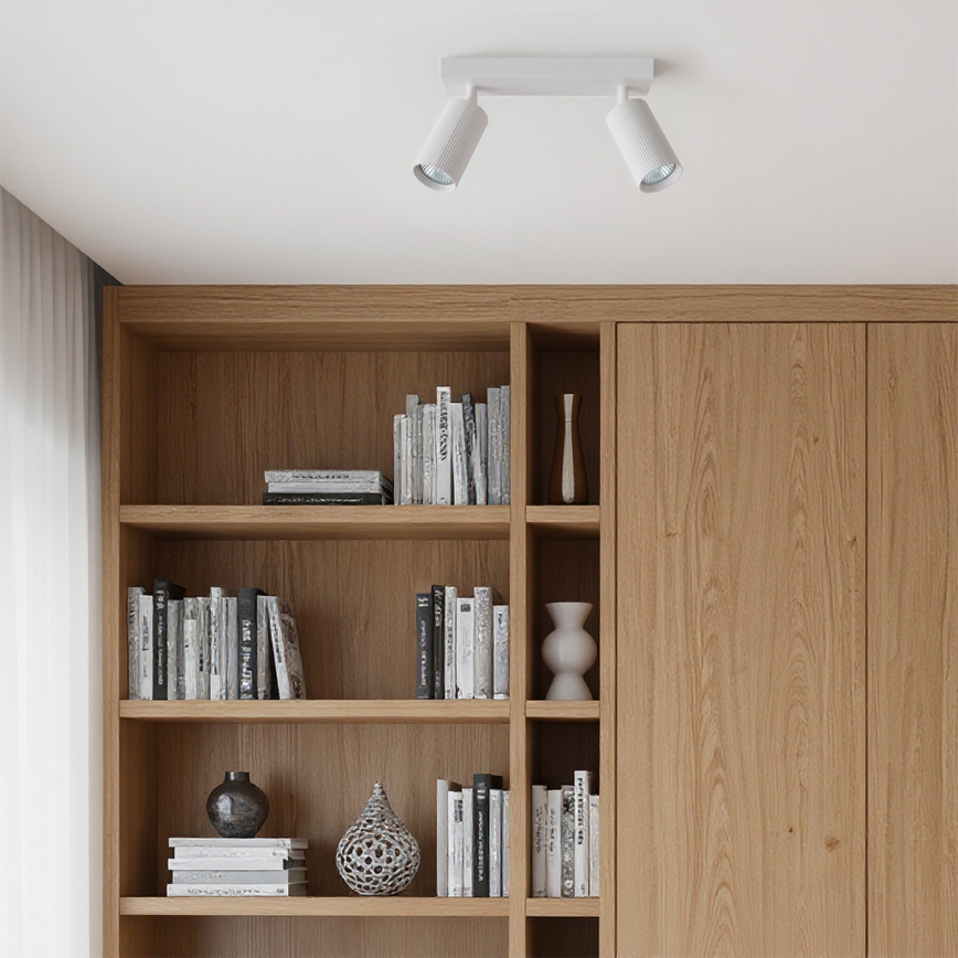 Brilagi - LED RGBW spot s mogućnošću prigušivanja SELE MODERN 2xGU10/4,8W/230V 3000K bijela + daljinski upravljač