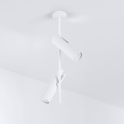 Brilagi - LED RGBW luster na šipci BRANCH s mogućnošću prigušivanja 2xGU10/6,5W/230V 2700-6500K bijela